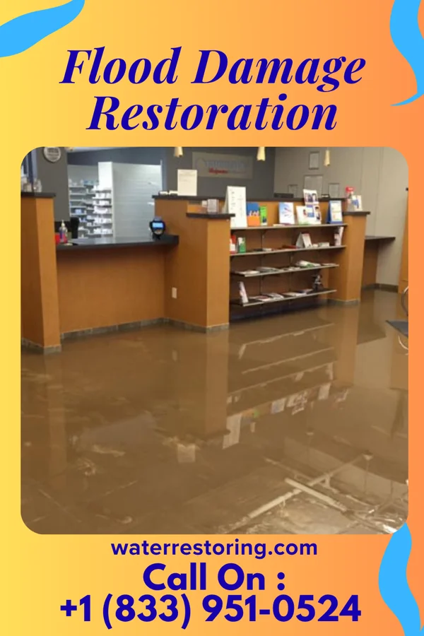 Flood Damage Restoration in Prairie du Sac, WI
